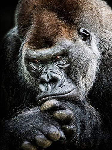 Dabao Diy 5d Diamante Pintando El Animal Gorila Por Kits De