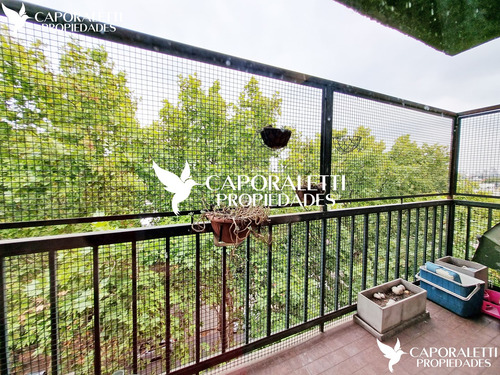 Imagen 4 de 30 de Venta De Departamento Semipiso De 3 Ambientes En Quilmes