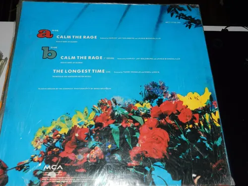 Vinilo 0677 - Terry Ronald - Calm The Rage (Usado)