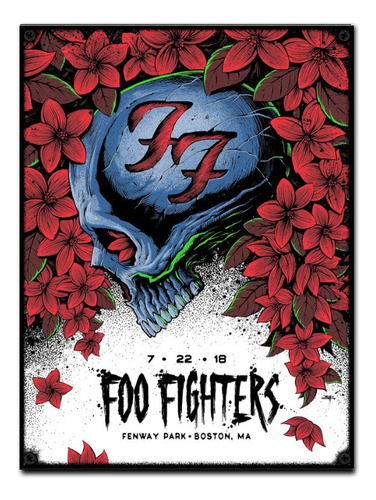 #745 - Cuadro Vintage / Foo Fighters Poster Rock No Chapa