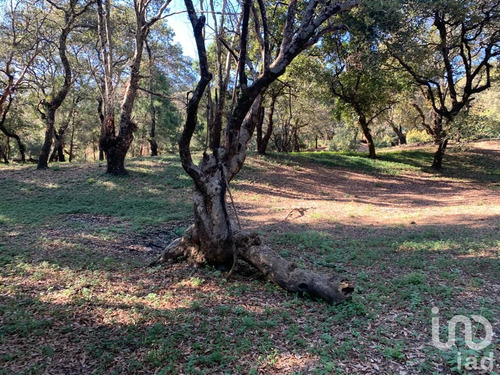 Venta Terreno 0 Ambiente Los Ocotes