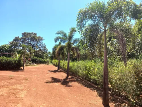 Lote Em Condomínio Fechado, 1000 M, Margens Da Mg 238, Prox Jequitibá