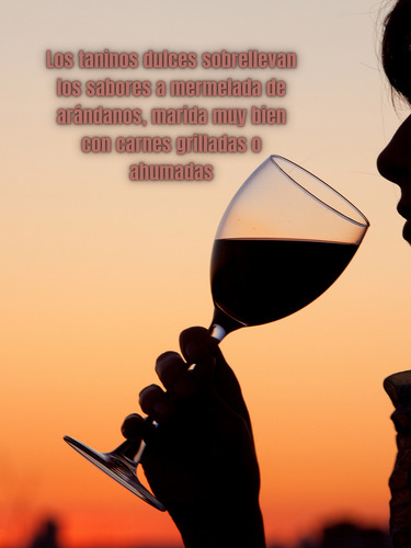Vino Luca Double Select Syrah Laura Catena Mendoza