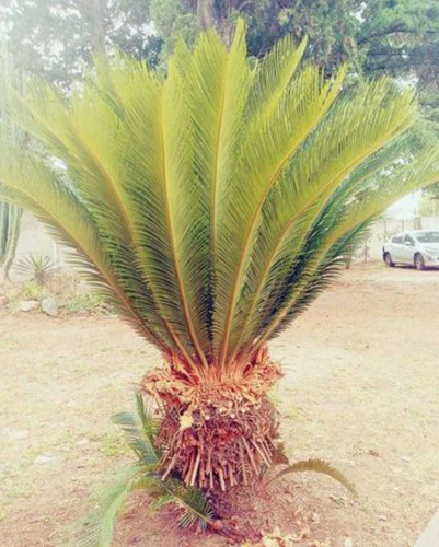 Imagen 5 de 25 de Alquiler Casa Quinta-zona Berazategui