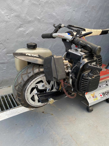Go-ped Gsr29 Cruiser