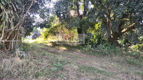 Imagem 15 de 15 de Chácara Para Venda, Bairro Do Pinhal - 4146_1-1952781
