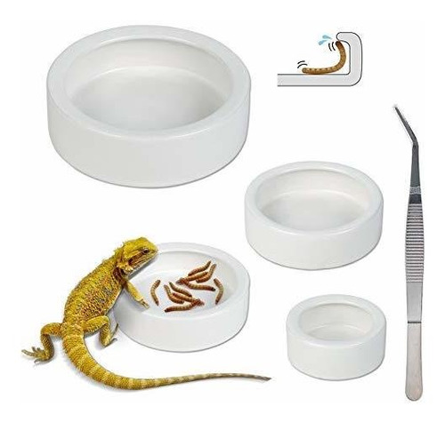 Juego De 3 Cuencos De Cerámica Comida Y Agua Reptiles ...