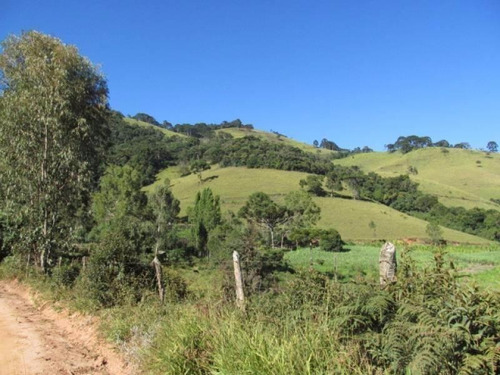 Imagem 3 de 10 de Fazenda Com 164 Alqueires Mineiros, Zona Rural, Quatis - Rj - 9981