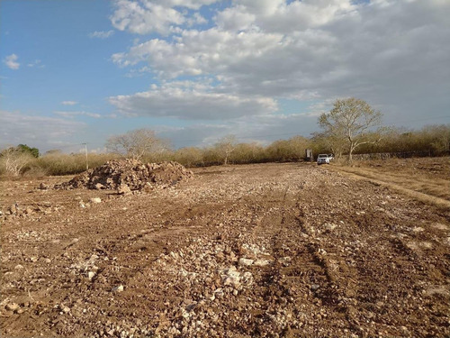 Imagen 5 de 20 de Lotes Residenciales De Inversión En Habinta Cerca De Chicxu