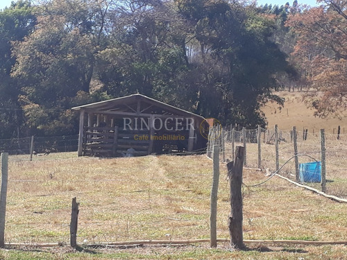 Imagem 19 de 30 de Temporada Em Ibiraci - Mg - Ot0006_rncr