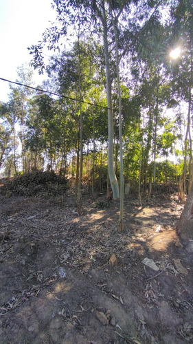 Imagen 18 de 24 de Terreno En Venta En Balneario Buenos Aires