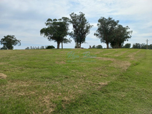 Imagen 13 de 14 de Venta De Lote En El Quijote - La Barra El Quijote