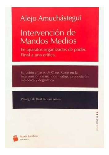 Intervención De Mandos Medios, De Amuchástegui Alejo. Editorial Praxis Juridica, Tapa Blanda, Edición 1 En Español, 2023