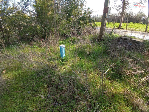 Se Vende Parcela Sector Chacarillas De 5.000 Mt2 En Maule