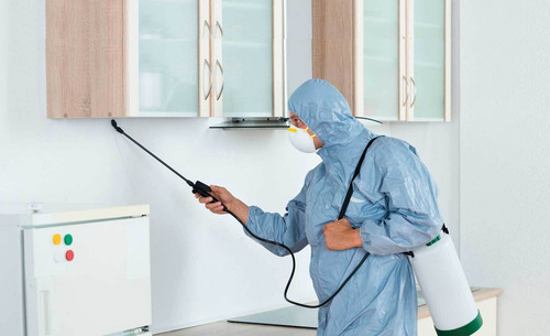 Imagen 5 de 10 de Fumigaciones Desinfeccion Plagas - Empresa Certificados Caba