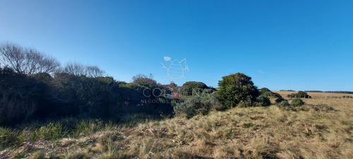 Imagen 15 de 28 de Venta Campo Ideal Para Fraccionar En Chacras Codigo 6003 - Las Garzas