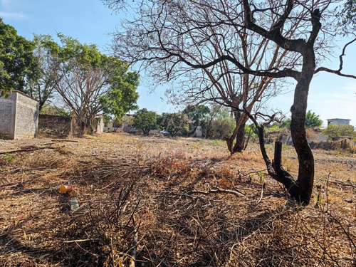Terreno En Venta En Col. Gabriel Tepepa (ampliación Pesebres) Con Pozo De Agua.