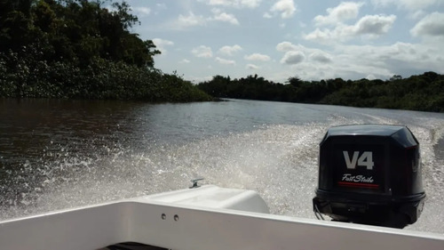 Imagem 4 de 4 de Motor Johnson 115 Hp Fast Strike
