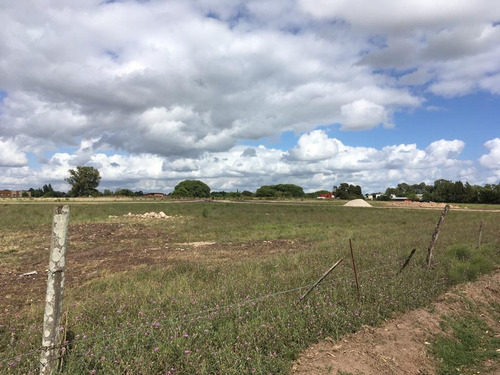 Terreno En Venta En Villa Parque Sicardi 660 Y 13 Bis
