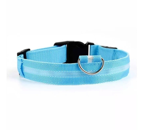 Collar Luz Led Para Perros O Gatos Tallas Desde S A Xl