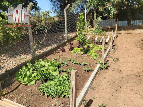 Chácara Com 03 Dormitórios, Pomar Formado, Excelente Localização À Venda, 1100 M² Por R$ 310.000 - Zona Rural - Pinhalzinho/sp - Ch0530
