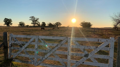 Venta De Campo, En Ruta 11 - Km 21, Magdalena - Buenos Aires