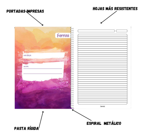 Cuadernos Ferrini A4 Libreta 100h 6 Piezas Espiral Europeo Color C7 - Masculino