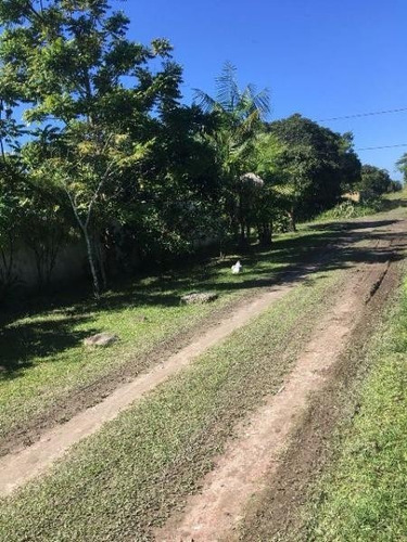 Imagem 3 de 14 de Mini Chácara Com Piscina No Palmeiras Em Itanhaém - 4255 Npc