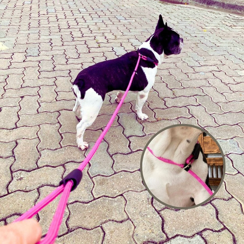 Guia Unificada Para Treinamento E Adestramento De Cães Cor Rosa