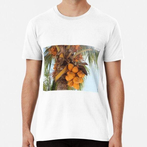 Remera Orange Coconuts Algodon Premium 