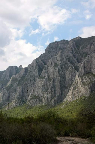 Imagen 9 de 18 de Terreno En Venta En La Huasteca Km 8.5