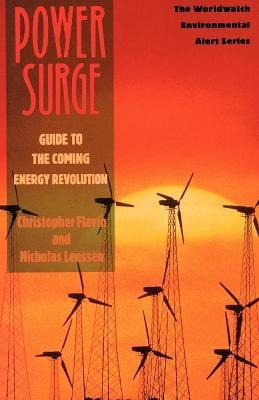 Libro Power Surge : Guide To The Coming Energy Revolution...