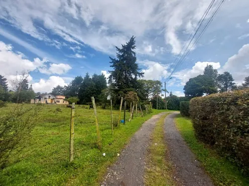 Lotes En Venta Llanogrande 743-7717