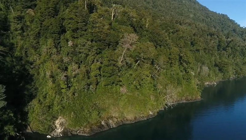 Imagen 16 de 30 de Turisticas En Venta En Puerto Varas