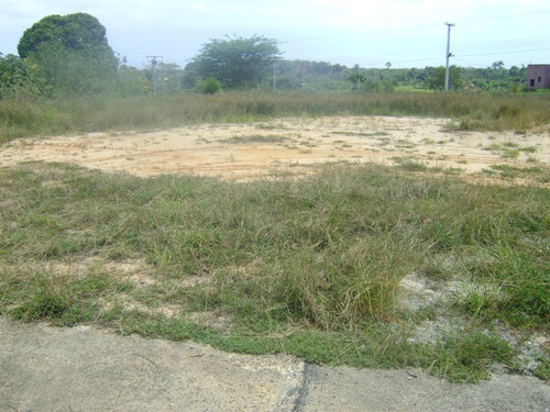 Imagen 9 de 13 de Terreno En Venta Via Sotillo Colinas De Ibiza Higuerote Riv#5548