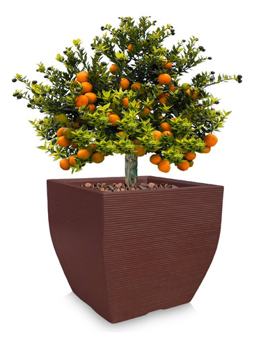 1 Vaso De Planta Grande Arvore Frutifera Jabuticaba 70x70 Cm