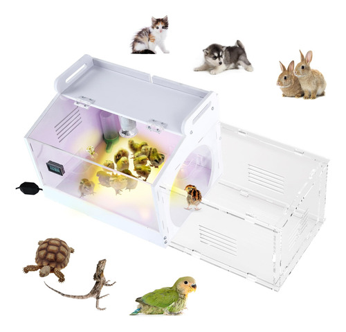 Caja De Criadores De Pollos Iarge-scale Incubadora De Huevos