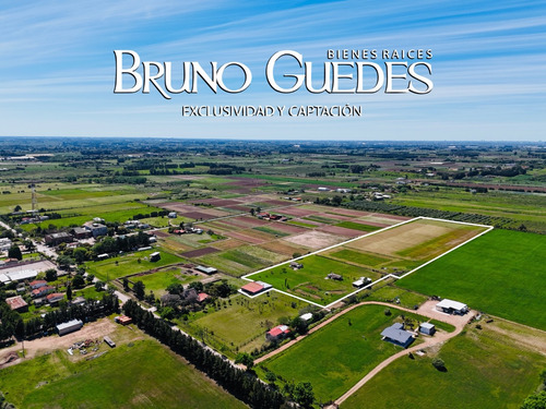 Se Alquila Chacra Con Salón De Eventos Y Canchas De Futbol Rincón Del Cerro Montevideo Rural