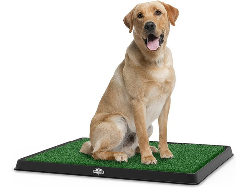 Alfombrilla De Baño De Césped Artificial Para Perros