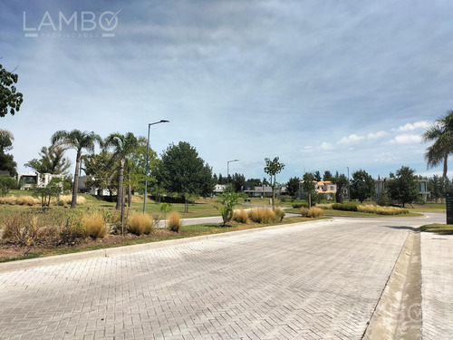 Venta Lote Sector Dos Azzurra Tortugas