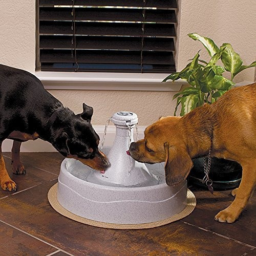 Fuente De Agua Para Mascotas