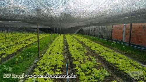 Tela Proteção Sombrite 80% Por 2,10 Larg C/10 Metros Solpack