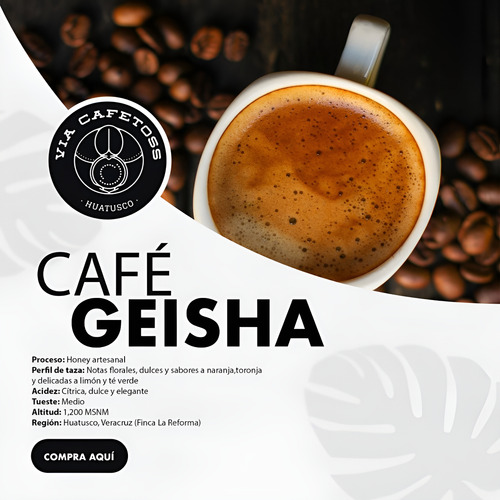 Café Geisha Vía Cafetoss Veracruz 250g Grano Tueste Medio