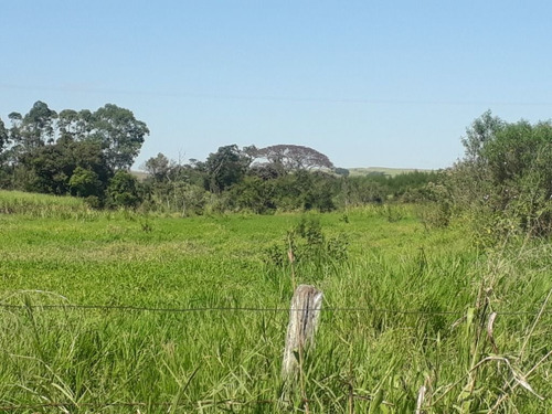 Imagem 29 de 30 de Sítio À Venda, 36300 M² Por R$ 850.000,00 - Zona Rural - Charqueada/sp - Si0008