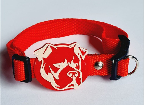 Placa Grabada 3d Para Mascotas. Collar Gratis 