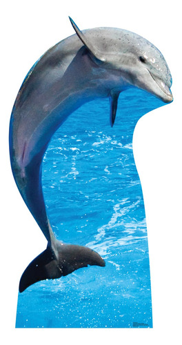 Delfin De Carton Tamano Real Fabricado En Ee. Uu.