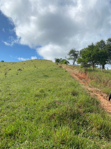 Imagem 8 de 21 de K06- Tenho O Terreno Que Você Procura