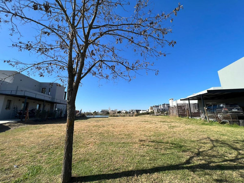 Imagen 3 de 15 de Lote En Venta El Canton Barrio Norte Laguna