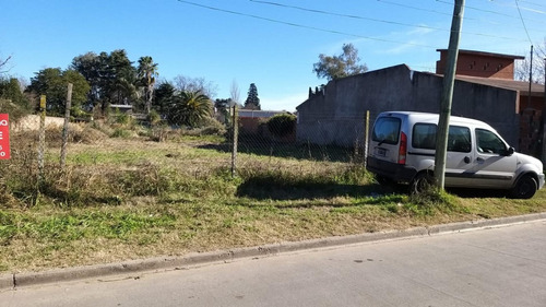 Imagen 13 de 16 de Venta De Amplio Terreno En Paso Del Rey, Villa Zapiola