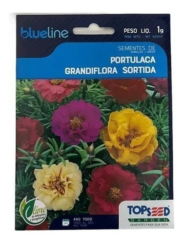 10.000 Sementes Da Flor Onze Horas Portulaca Cores Variadas | MercadoLivre